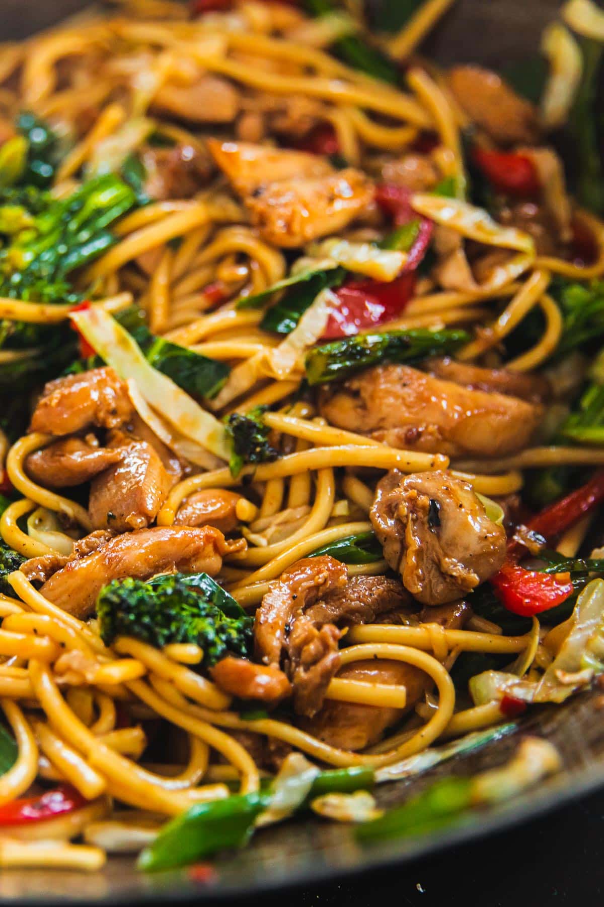 Close up of Chicken Udon Noodles.