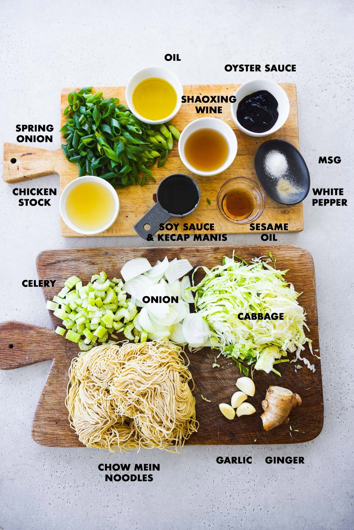 Panda Express Chow Mein - Ingredients measured and lebeled - chow mein noodles, onion, celery, cabbage, spring onion, garlic, ginger, oyster sauce, shaoxing wine, soy sauce, kecap manis, white pepper, MSG, sesame oil.